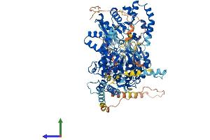 AlphaFold protein structure predicition of Human Recombinant DHX36 Protein, UniprotID Q9H2U1 (DHX36 Protein (AA 1-1008) (His tag))