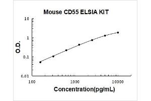 Complement Decay-Accelerating Factor (CD55) ELISA Kit