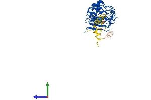 AlphaFold protein structure predicition of Mouse Recombinant Lrrc10 Protein, UniprotID Q8K3W2 (LRRC10 Protein (AA 1-274) (His tag))