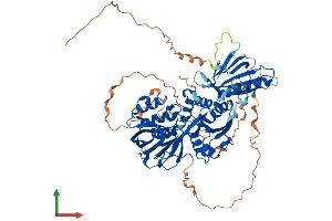 AlphaFold protein structure predicition of Human Recombinant SPHK2 Protein, UniprotID Q9NRA0 (SPHK2 Protein (AA 1-654) (His tag))