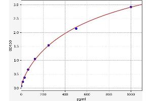 CALCB ELISA Kit