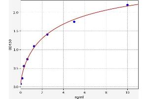 PCCB ELISA Kit