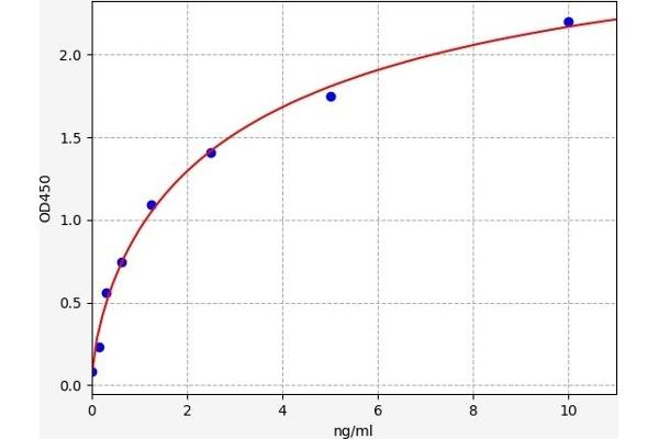 PCCB ELISA Kit