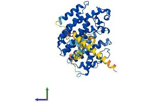 AlphaFold protein structure predicition of Mouse Recombinant Fdft1 Protein, UniprotID P53798 (FDFT1 Protein (AA 1-416) (His tag))
