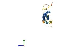 AlphaFold protein structure predicition of Mouse Recombinant Snap29 Protein, UniprotID Q9ERB0 (SNAP29 Protein (AA 1-260) (His tag))