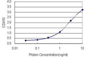 FABP1 (Human) Matched Antibody Pair
