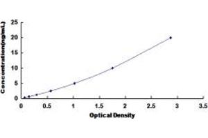 SLC30A5 ELISA Kit