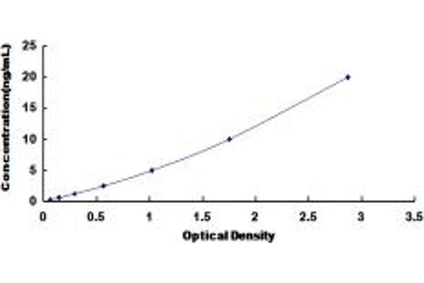 SLC30A5 ELISA Kit