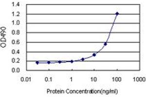 Sandwich ELISA detection sensitivity ranging from 1 ng/mL to 100 ng/mL. (SFTPB (Human) Matched Antibody Pair)