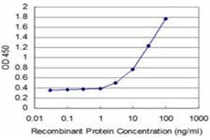 Detection limit for recombinant GST tagged TBX3 is approximately 1ng/ml as a capture antibody. (TBX3 antibody  (AA 311-410))