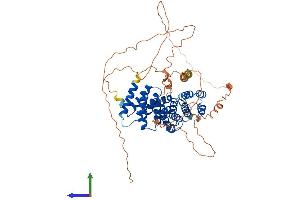 AlphaFold protein structure predicition of Human Recombinant PEX5L Protein, UniprotID Q8IYB4 (Peroxisomal Biogenesis Factor 5-Like (PEX5L) (AA 1-626) protein (His tag))