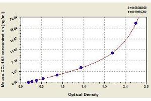 Typical standard curve