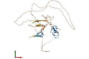 Protein Structure (PS) image for Ring Finger Protein, LIM Domain Interacting (RLIM) (AA 1-624) protein (His tag) (ABIN7555243)