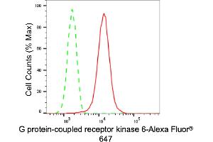 Flow cytometric analysis of G protein-coupled receptor kinase 6 expression in HT- cells using G protein-coupled receptor kinase 6 antibody (ABIN7798674), 1:2,000). (Recombinant GRK6 antibody)