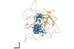 AlphaFold protein structure predicition of Mouse Recombinant Fnip2 Protein, UniprotID Q80TD3