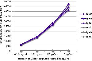 FLISA plate was coated with purified human IgGκ, IgMκ, IgAκ, IgGλ, IgMλ, and IgAλ. (Goat anti-Human Immunoglobulin kappa Chain Complex (Igk) (Chain kappa) Antibody (PE))