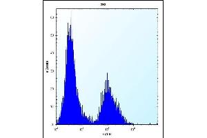 CLDN2 Antibody (C-term ) (ABIN656563 and ABIN2845823) flow cytometric analysis of 293 cells (right histogram) compared to a negative control cell (left histogram). (Claudin 2 antibody  (C-Term))