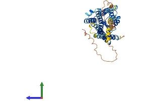 AlphaFold protein structure predicition of Mouse Recombinant Ptger1 Protein, UniprotID P35375