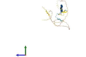 AlphaFold protein structure predicition of Mouse Recombinant Ccdc34 Protein, UniprotID Q3UI66 (CCDC34 Protein (AA 1-367) (His tag))