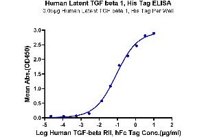 Immobilized Human Latent TGF beta 1, His Tag at 0.