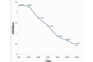 Antigen: EBV (Human herpesvirus 4)EBNA 3A, 0. (Epstein-Barr Virus Nuclear Antigen-3A (EBNA-3A) antibody)