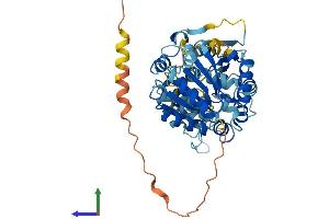 Protein Structure (PS) image for DEAD (Asp-Glu-Ala-As) Box Polypeptide 19B (DDX19B) (AA 1-479) protein (His tag) (ABIN7546995)