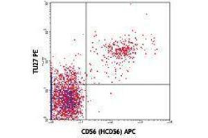 Flow Cytometry (FACS) image for anti-Interleukin 2 Receptor, beta (IL2RB) antibody (PE) (ABIN2662984) (IL2 Receptor beta antibody  (PE))