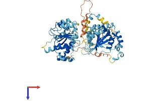 AlphaFold protein structure predicition of Human Recombinant DDX56 Protein, UniprotID Q9NY93 (DDX56 Protein (AA 1-547) (His tag))