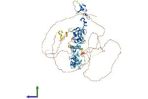 AlphaFold protein structure predicition of Human Recombinant ABLIM3 Protein, UniprotID O94929