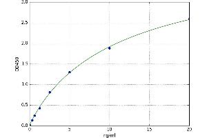 Forkhead Box P3 (FOXP3) ELISA Kit