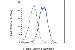 Validation of HIBCH knockdown using flow cytometry.