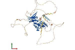 AlphaFold protein structure predicition of Human Recombinant SYN1 Protein, UniprotID P17600 (SYN1 Protein (AA 1-705) (His tag))