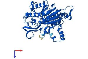 UPB1 Protein (AA 1-384) (His tag)