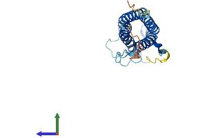 Protein Structure (PS) image for Ciliary Neurotrophic Factor (CNTF) (AA 1-200) protein (His tag) (ABIN7546572)