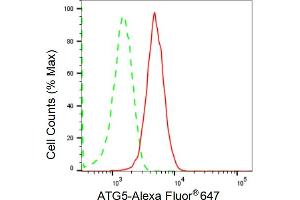 Flow cytometric analysis of ATG5 expression in HepG2 cells using ATG5 antibody (ABIN7797674), 1:2,000). (Recombinant ATG5 antibody)