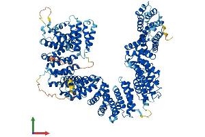 AlphaFold protein structure predicition of Mouse Recombinant Tbcd Protein, UniprotID Q8BYA0 (TBCD Protein (AA 1-1196) (His tag))