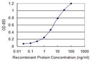 Detection limit for recombinant GST tagged ETV1 is 0. (ETV1 antibody  (AA 148-257))