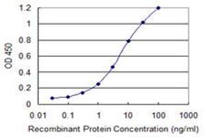 Detection limit for recombinant GST tagged ETV1 is 0. (ETV1 antibody  (AA 148-257))