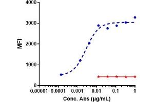 A549 cells were stained with Anti-ROR1 Reference Antibody (zilovertamab) and negative control protein respectively, washed and then followed by PE and analyzed with FACS, EC50=0. (Recombinant ROR1 (Zilovertamab Biosimilar) antibody)