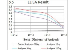 Red: Control Antigen (100ng) ; Purple: Antigen (10ng) ; Green: Antigen (50ng) ; Blue: Antigen (100ng). (DKK3 antibody  (AA 91-350))