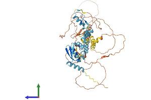 AlphaFold protein structure predicition of Human Recombinant ZBTB37 Protein, UniprotID Q5TC79