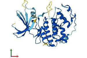 AlphaFold protein structure predicition of Human Recombinant CDK5 Protein, UniprotID Q00535 (CDK5 Protein (AA 1-292) (His tag))