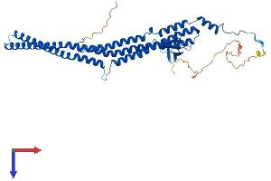 AlphaFold protein structure predicition of Human Recombinant PACSIN3 Protein, UniprotID Q9UKS6 (PACSIN3 Protein (AA 1-424) (His tag))