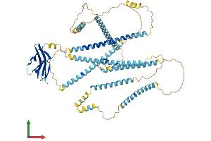 Protein Structure (PS) image for Nexilin (NEXN) (AA 1-675) protein (His tag) (ABIN7549679)
