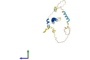 Protein Structure (PS) image for Neural Retina Leucine Zipper (NRL) (AA 1-237) protein (His tag) (ABIN7556174)