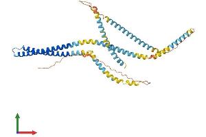 AlphaFold protein structure predicition of Mouse Recombinant Ccdc51 Protein, UniprotID Q3URS9 (CCDC51 Protein (AA 1-406) (His tag))