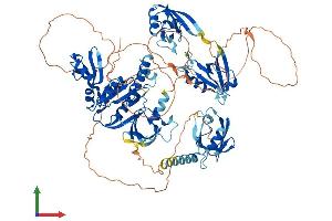 AlphaFold protein structure predicition of Human Recombinant DLG2 Protein, UniprotID Q15700 (DLG2 Protein (AA 1-870) (His tag))
