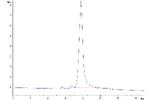The purity of Mouse SPP1 is greater than 95 % as determined by SEC-HPLC. (Osteopontin Protein (AA 17-294) (His tag))