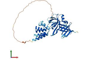 AlphaFold protein structure predicition of Human Recombinant AIM2 Protein, UniprotID O14862