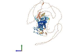 AlphaFold protein structure predicition of Mouse Recombinant Zfyve28 Protein, UniprotID Q6ZPK7